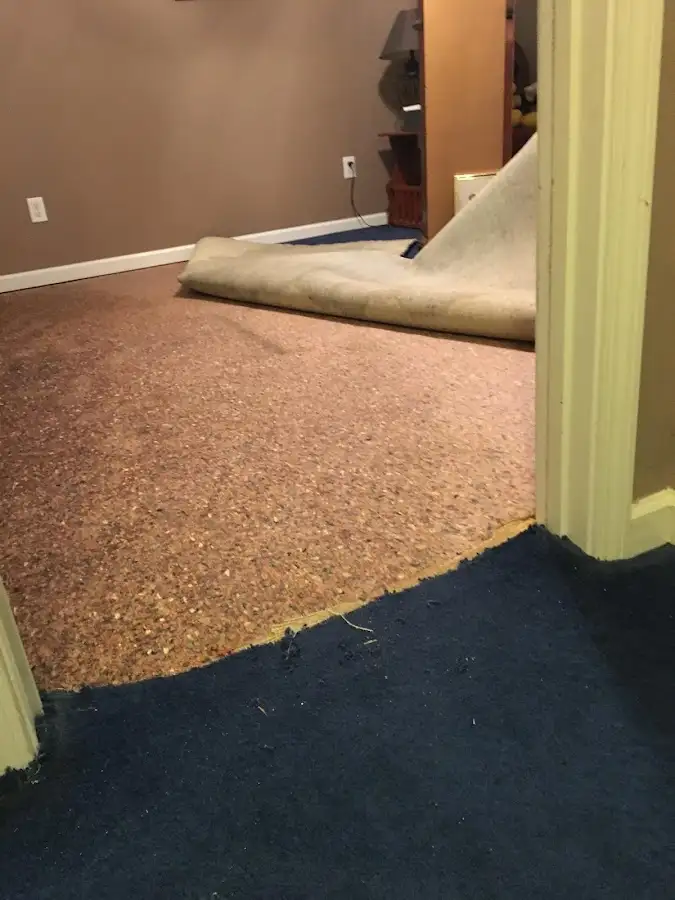 Carpet pad removal revealing water damage during Water Mitigation Services in Carroll