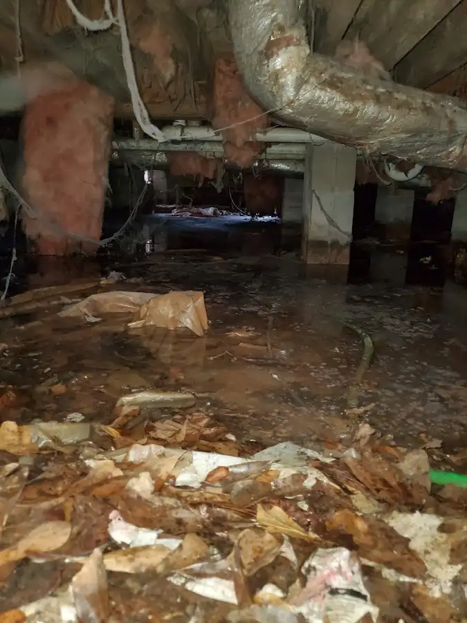 Crawl space flood assessment for Leak Detection & Repair in Carroll